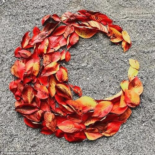 Những tác phẩm từ lá rụng khiến bạn thương nhớ mùa thu